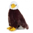 National Geographic Eagle Plush