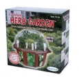 Culinary Herb Garden