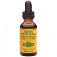 Herb Pharm Golden Echinacea Liquid Herbal Extract 1 fl oz