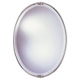 Polished Nickel Minimalist Oval Mirror