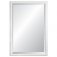 Savanah Brushed White Framed Wall Mirror