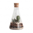 Chemistry Flask Botany Terrarium Kit - Glass - 8