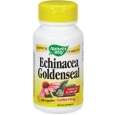 Echinacea w/Goldenseal Root 450 MG 100 Capsules