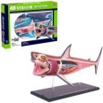 4D Vision Shark Anatomy Model