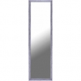 13.5X49.5 Brushed Silver Door Mirror, single piece