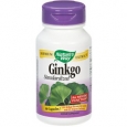 Ginkgo (Standardized) 60 Capsules