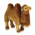 National Geographic Bactrian Camel Plush