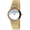 Skagen Women's 358SGGD Goldtone Stainless Steel Quartz Watch with Silvertone Dial