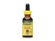Echinacea Extract No Alcohol- Organic Orange Flavor - Nature's Answer - 1 oz - Liquid