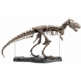 Discovery 60-Piece T-Rex 3-D Skeleton Puzzle