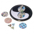 Toysmith Euler's Disk Science and Learning Kit