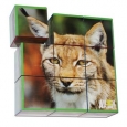 Animal Planet Endangered Species Puzzle Cubes