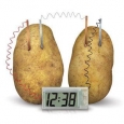 Toysmith Green Science Potato Clock