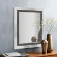 Appalachian Charcoal Framed Beveled Wall Mirror