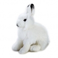 National Geographic Arctic Hare Plush