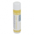 Rinse Bath & Body Co. Ginger Lemongrass Skin Stick