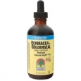 Echinacea Goldenseal (AF) 4 Fluid Ounces Liquid