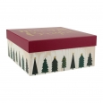 Red 'Merry And Bright' Gift Box - Spritz, Multi-Colored