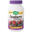 Cranberry Extract 120 Veggie Caps