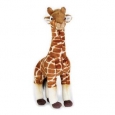 National Geographic Giraffe Plush