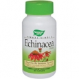 Echinacea Herb 400 MG 100 Capsules