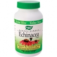 Echinacea Purpurea Herb 400 MG 180 Capsules