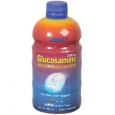 Glucosamine With Chondroitin Msm 16 Fluid Ounces Liquid