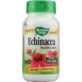 Nature's Way Echinacea Purpurea Herb 100 Vcaps