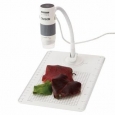 eFlex(TM) Digital Microscope with Flexible Neck