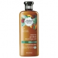 Aussie Golden Moringa Oil Shampoo - 13.5 oz.