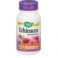 Echinacea (Standardized) 60 Capsules