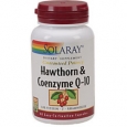 Hawthorn CoQ10 60 Capsules