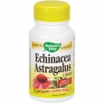 Echinacea Astragalus Reishi 400 MG 100 Capsules