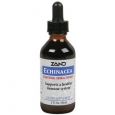 Echinacea Traditional Herbal Extract 2 Fluid Ounces Liquid