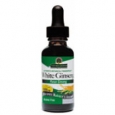 Nature's Answer White Ginseng 1000 mg - 1 fl oz