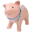 Rubber Piggy Bank