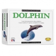 Eyewitness Dolphin Casting Kit