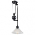 Light Society Technica Black Iron, Glass 1-Light Pulley Pendant