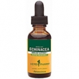 Herb Pharm Echinacea Immune Support 1 fl oz