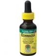 Echinacea Grape Flavor 1 Fluid Ounces Liquid