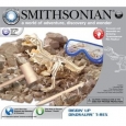 Smithsonian Diggin' Up Dinosaurs T-Rex - multi