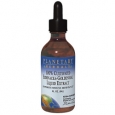 Echinacea Goldensl Extract. 4 Fluid Ounces Liquid