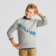 Boys' Brilliant Crew Sweatshirt - Cat & Jack Heather Gray L