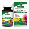 Nature's Answer Echinacea with Vitamin C & Calcium, Vegetarian Capsules