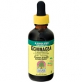 Echinacea 2 Fluid Ounces Liquid