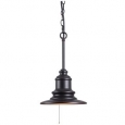 Design Craft Visp Blackened Oil Rubbed Bronze 1-light Outdoor Pendant