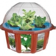 Hydro-Dome Plant Kit