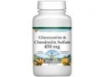 Glucosamine and Chondroitin Sulfate - 450 mg (100 capsules, ZIN: 512045)