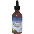 Echinacea Liquid Extract Full Spec 1 Ounces Liquid