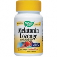 Melatonin Lozenge Fruit Flavor 2.5 MG 100 Lozenges